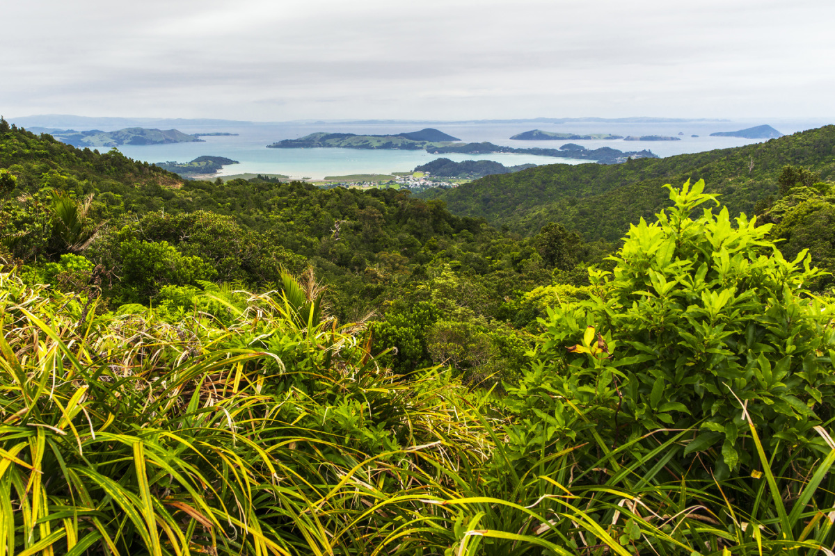 Nový Zéland, Polostrov Coromandel, Cathedral Cove