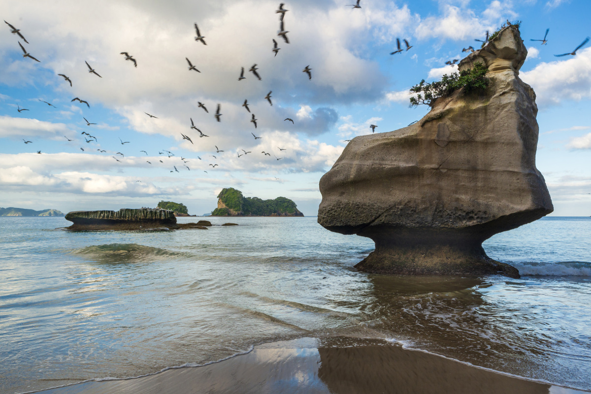 Nový Zéland, Polostrov Coromandel, Cathedral Cove
