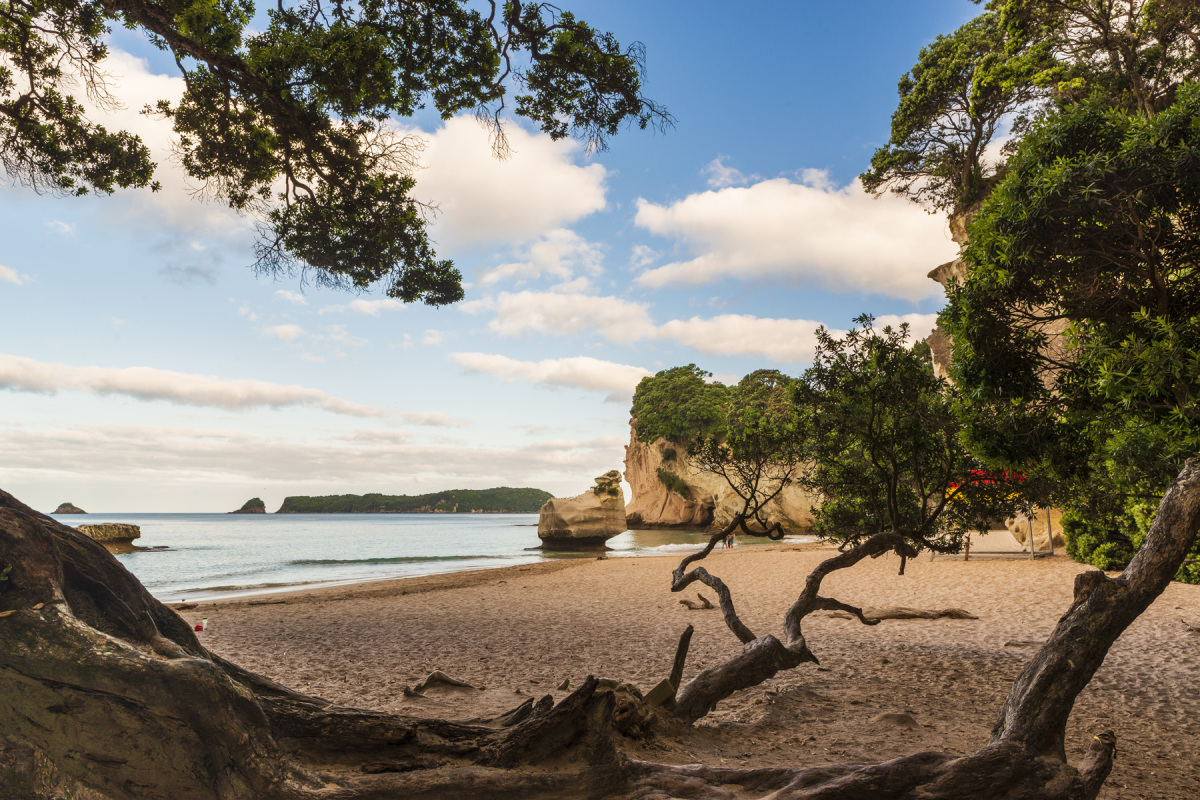 Nový Zéland, Polostrov Coromandel, Cathedral Cove