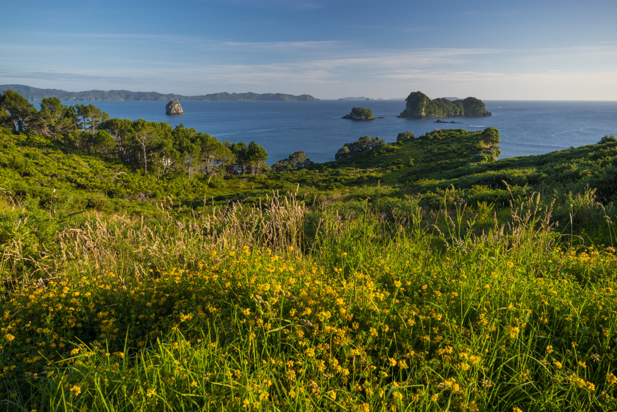 Nový Zéland, Polostrov Coromandel, Cathedral Cove