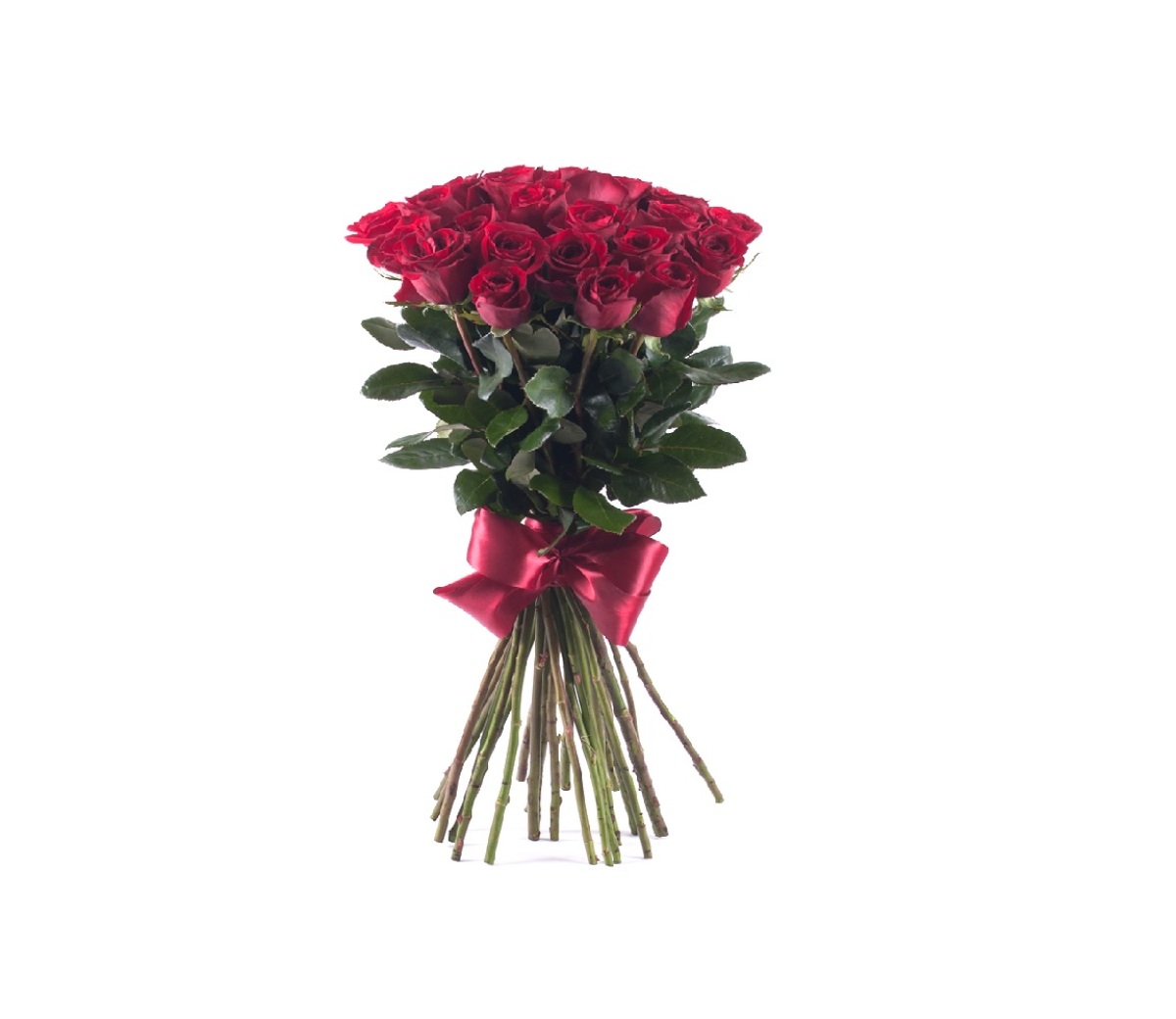AMORE ČERVENÉ RUŽE