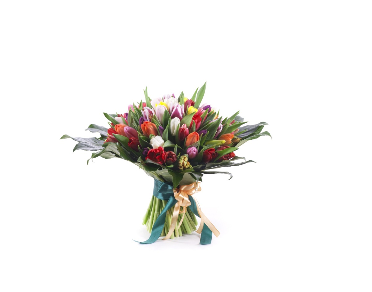 PERLA FAREBNÉ TULIPÁNY