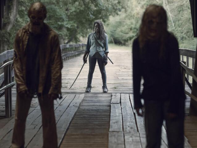 the walking dead, walking dead, živí mŕtvi, michonne,