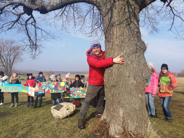 rob mcbride, strom roka, kopčany