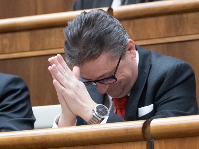 parlament, verejne hlasovanie, Glvac,