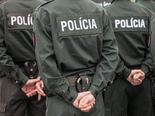 polícia, SR, policajt