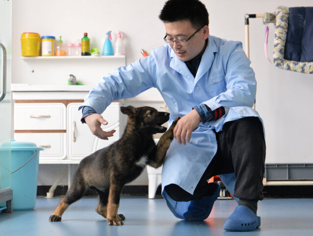 CHINA-SCIENCE/CLONE