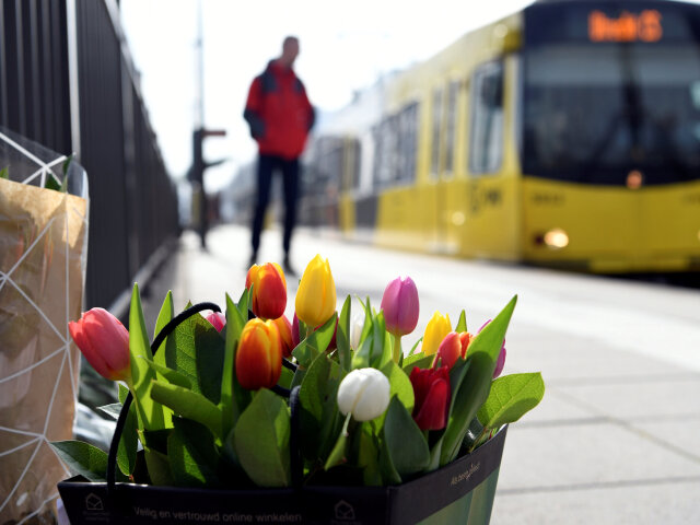 holandsko, utrecht, kvety, električka
