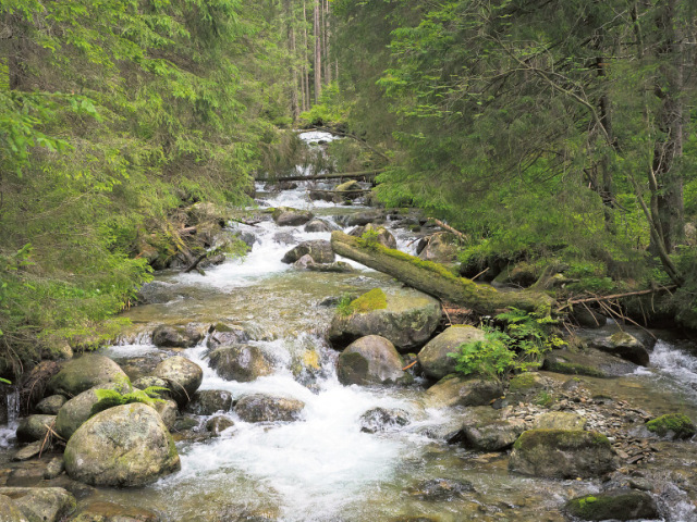 Západné Tatry