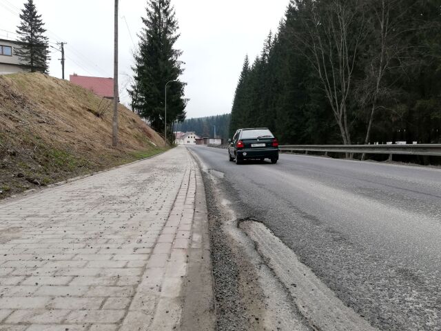 asfalt, cesta, orava