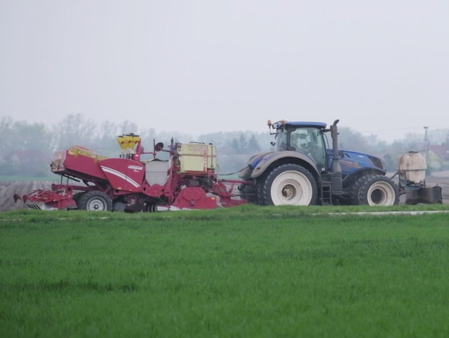 zemiaky, Senec, farmár, potraviny, poľnohospodárstvo