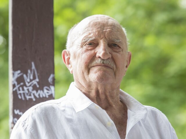 Josef Somr