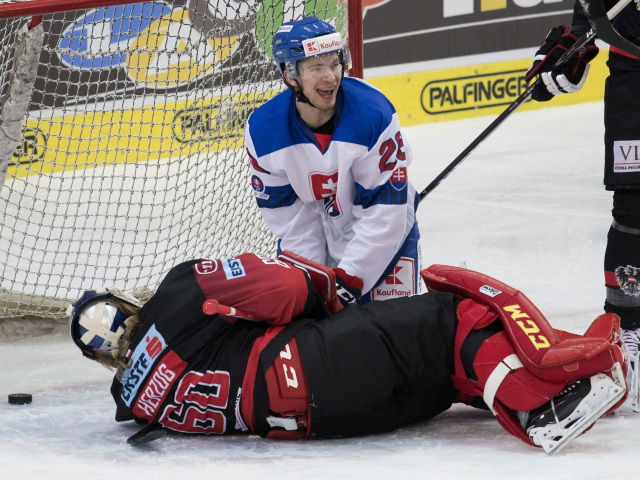 Rakúsko SR hokej Slovensko MS2019 studenič