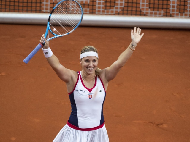 Dominika Cibulková
