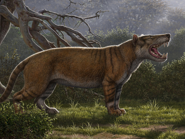 SCIENCE-MAMMAL/