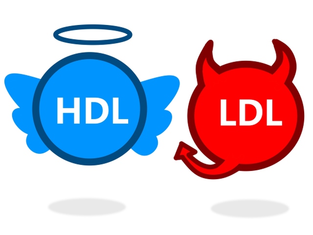hdl, ldl, cholesterol