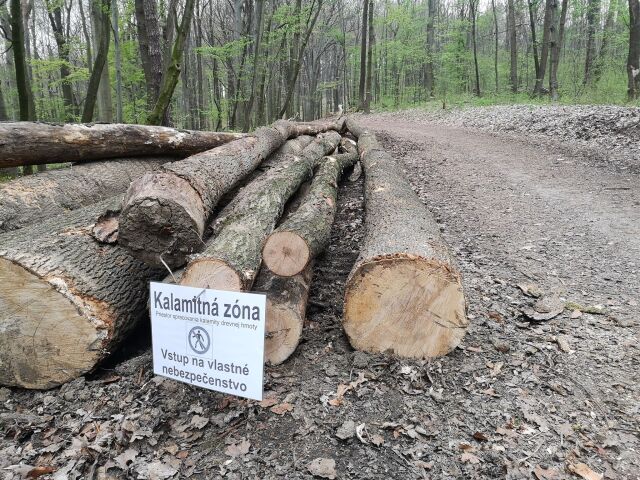 Brezina Lesopark Trenčín nákaza