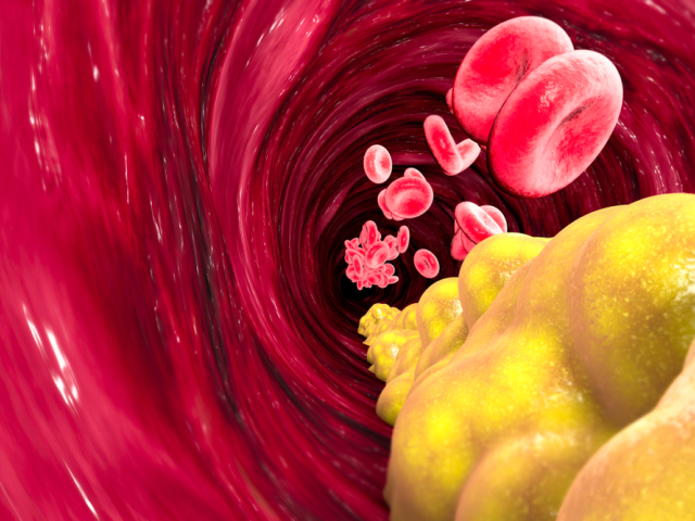 krv, cieva, hemoglobín, krvinka, cholesterol
