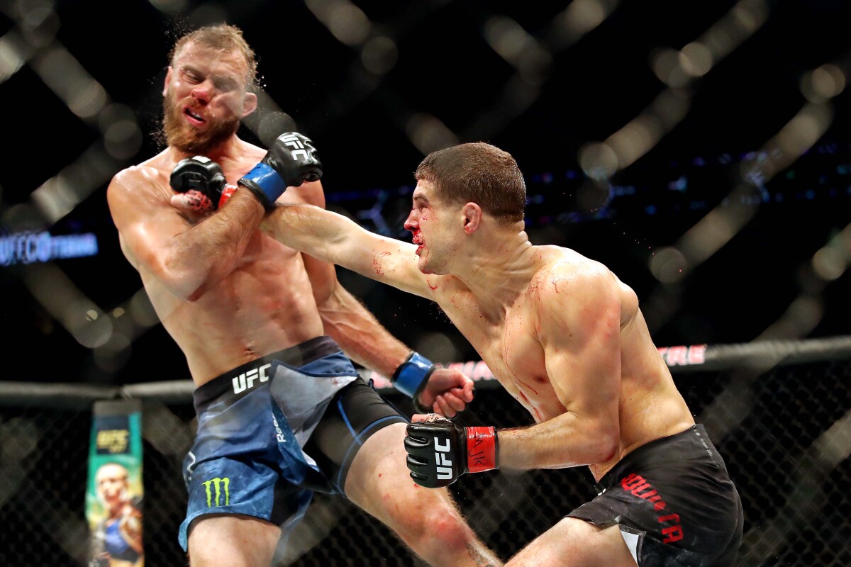 MMA UFC
