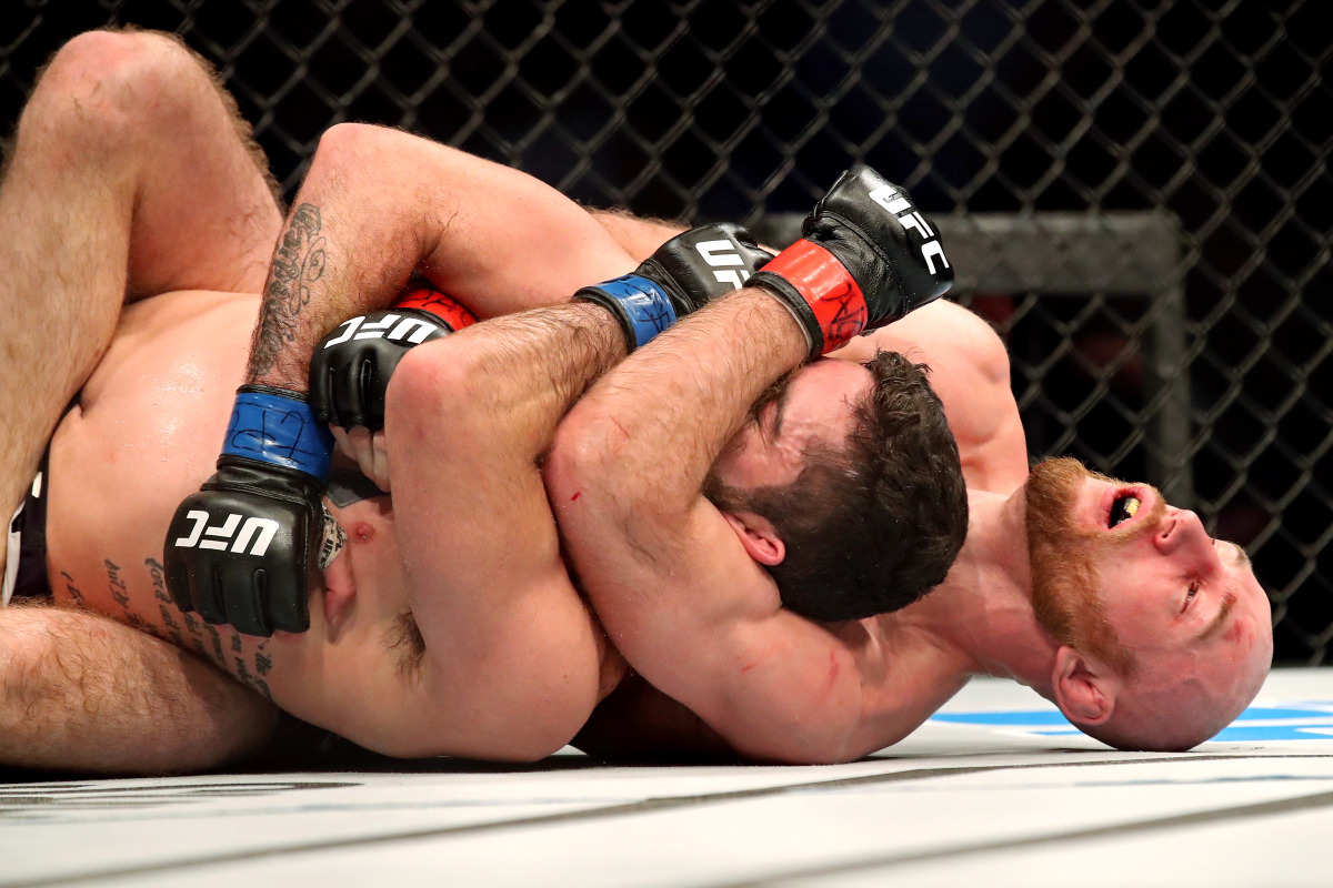 MMA UFC