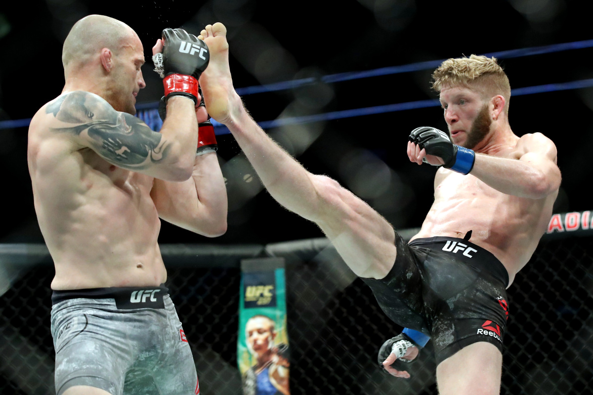 MMA ufc