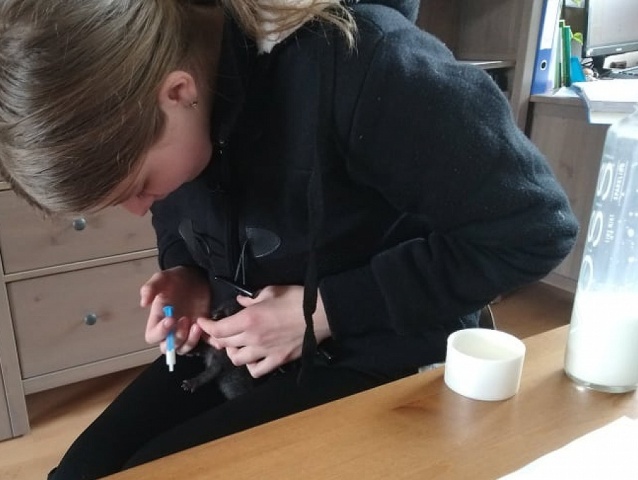 katka pliešovce príbeh mačiatka