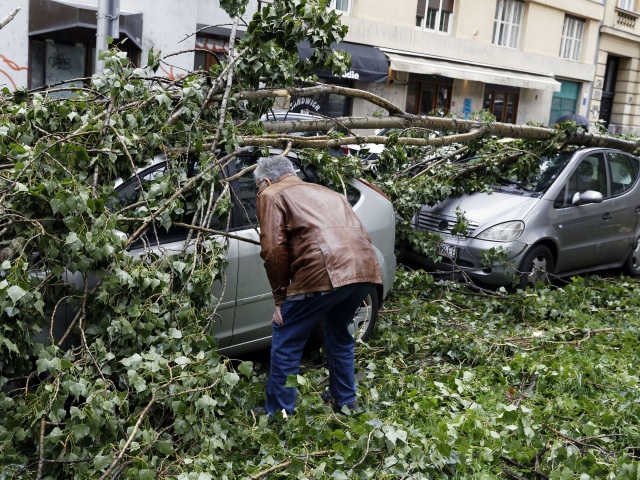 chorvátsko, záhreb, vietor, vyrátený strom, auto, počasie
