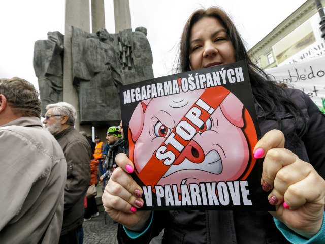protest, farma, Palárikovo