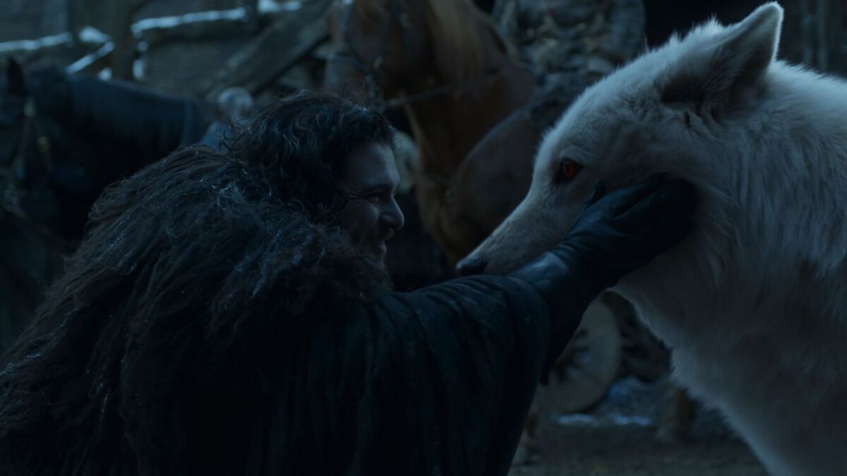 hra o tróny, game of thrones, jon, duch, vlk, zlovlk,