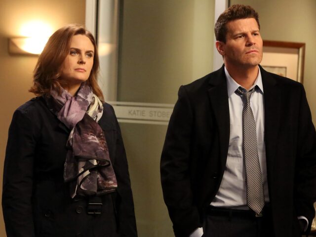 emily deschanel, bones, kosti, david boreanaz,