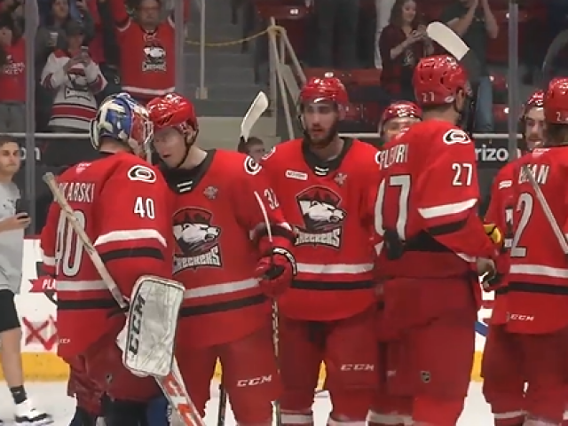 Charlotte Checkers