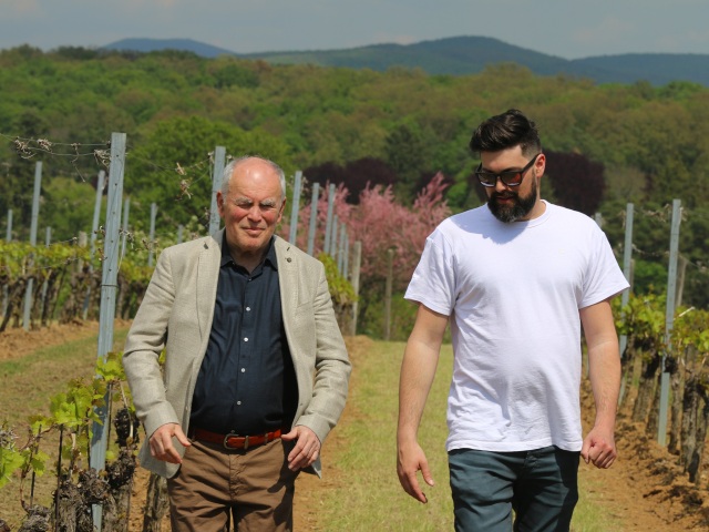 vino-waldner-syn-VARECHA