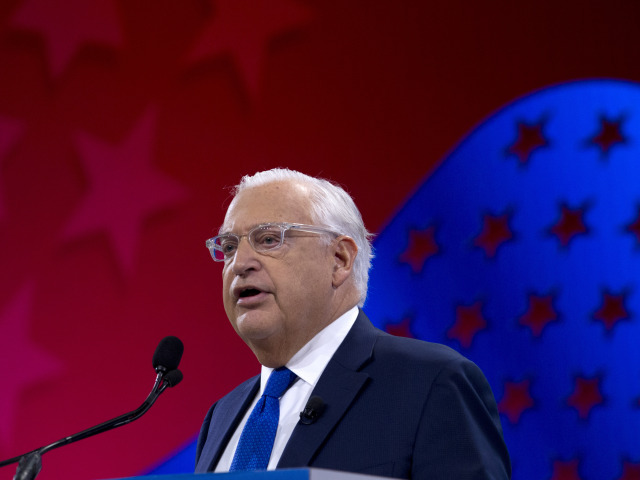 David Friedman / Izrael /