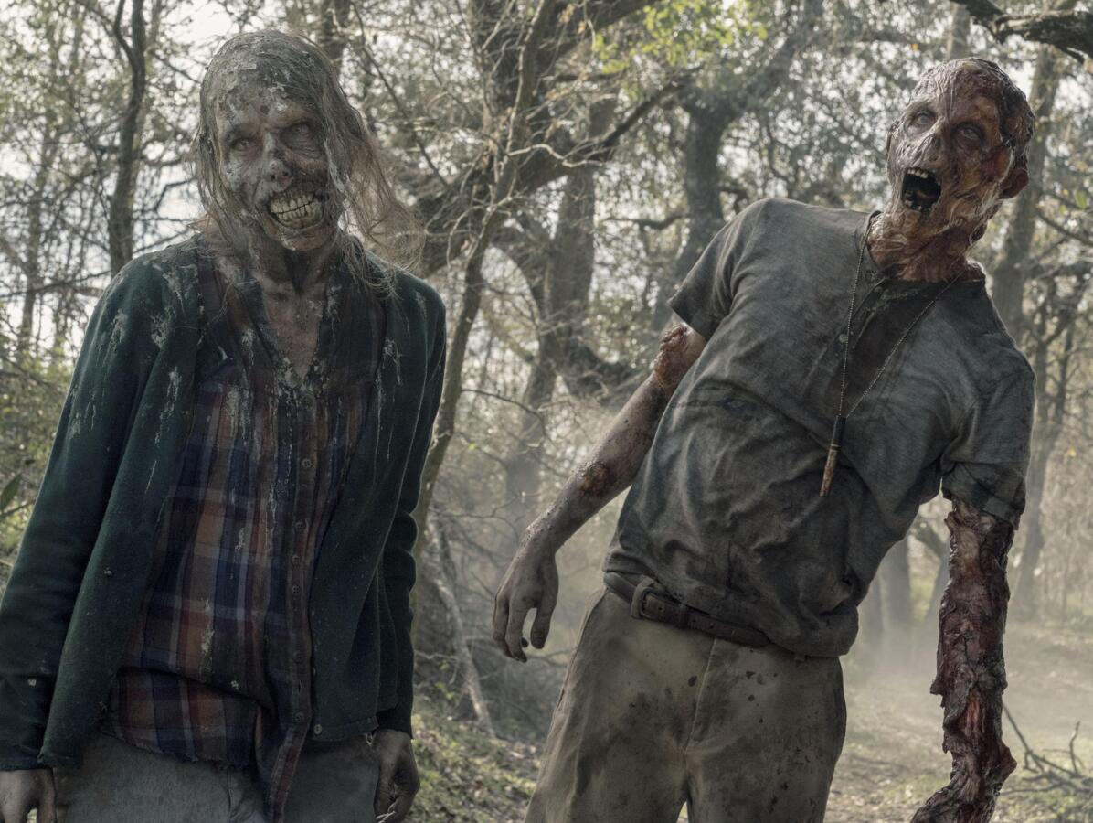 fear the walking dead, walking dead, zombie, zombík, zombíci,