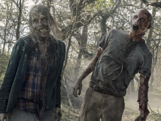fear the walking dead, walking dead, zombie, zombík, zombíci,