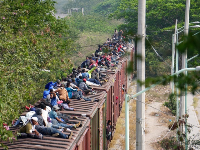migranti