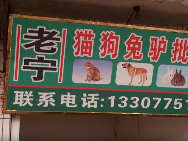 psie mäso, Jü-lin