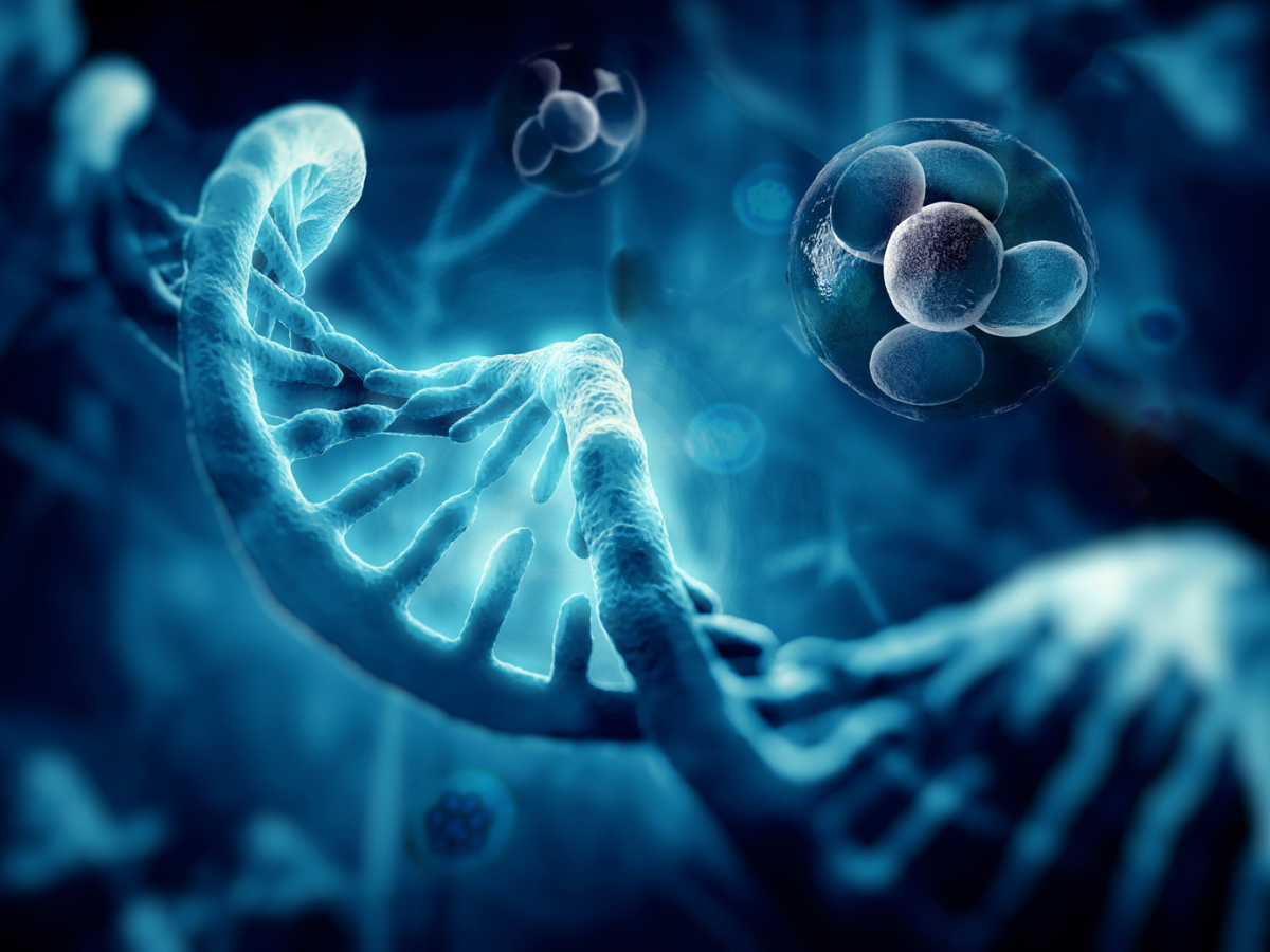 DNA, gény, genetická informácia