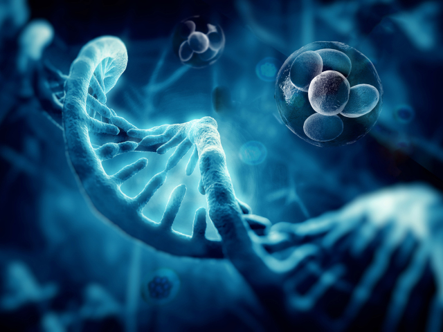 DNA, gény, genetická informácia