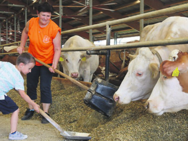 Kozárovce, farma