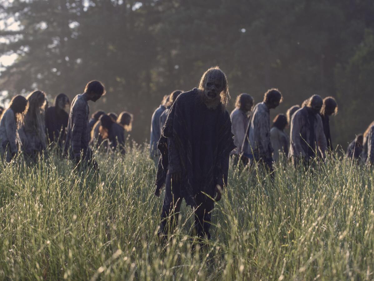 the walking dead, walking dead, fear the walking dead, zombie, zombík, zombíci, živí mŕtvi,