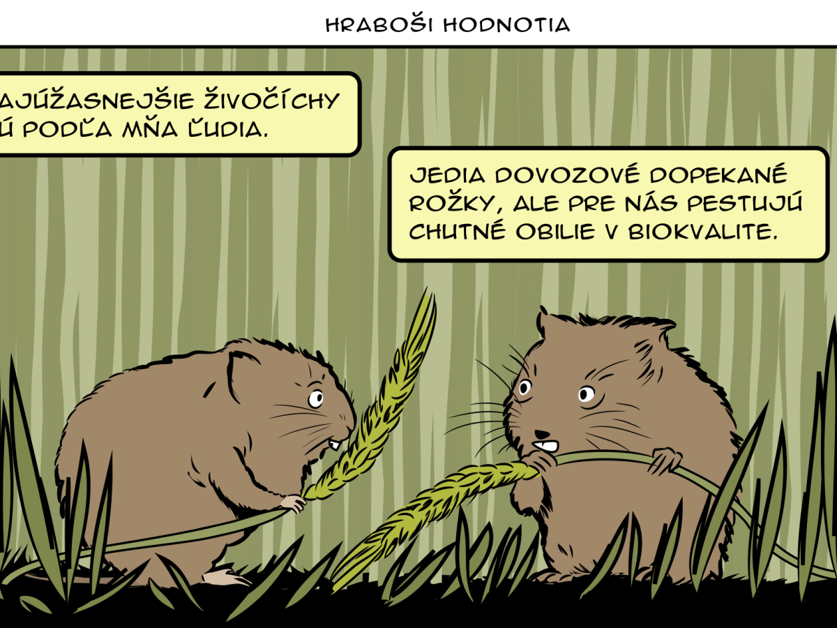 Gašparec, 13.07.2019