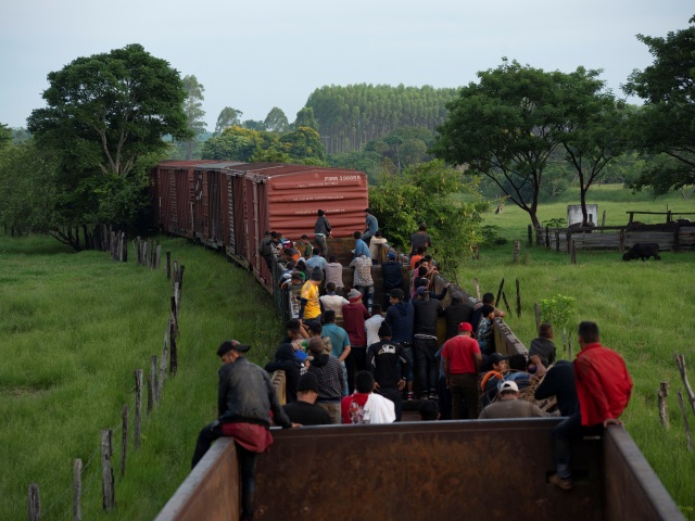 migranti