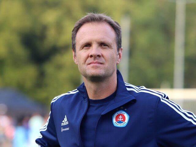 Vladimir Radenkovič