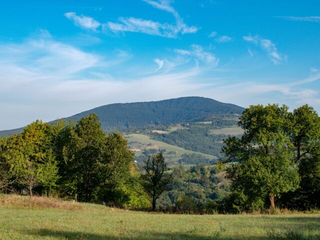 Veľký Lopeník, rozhľadňa, výhľad, krajina, les, turistika, stromy, príroda, lúka, zeleň, tráva, rastliny, krajina