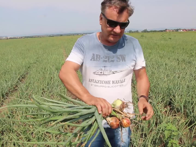 farmár, zavlažovanie, úroda
