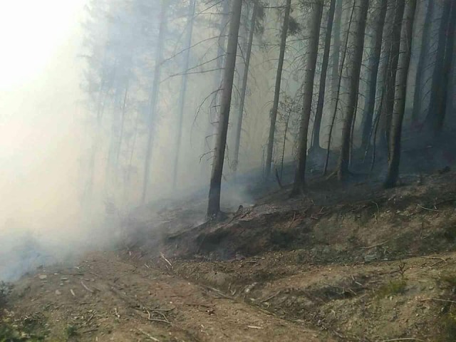 požiar / Nižná /
