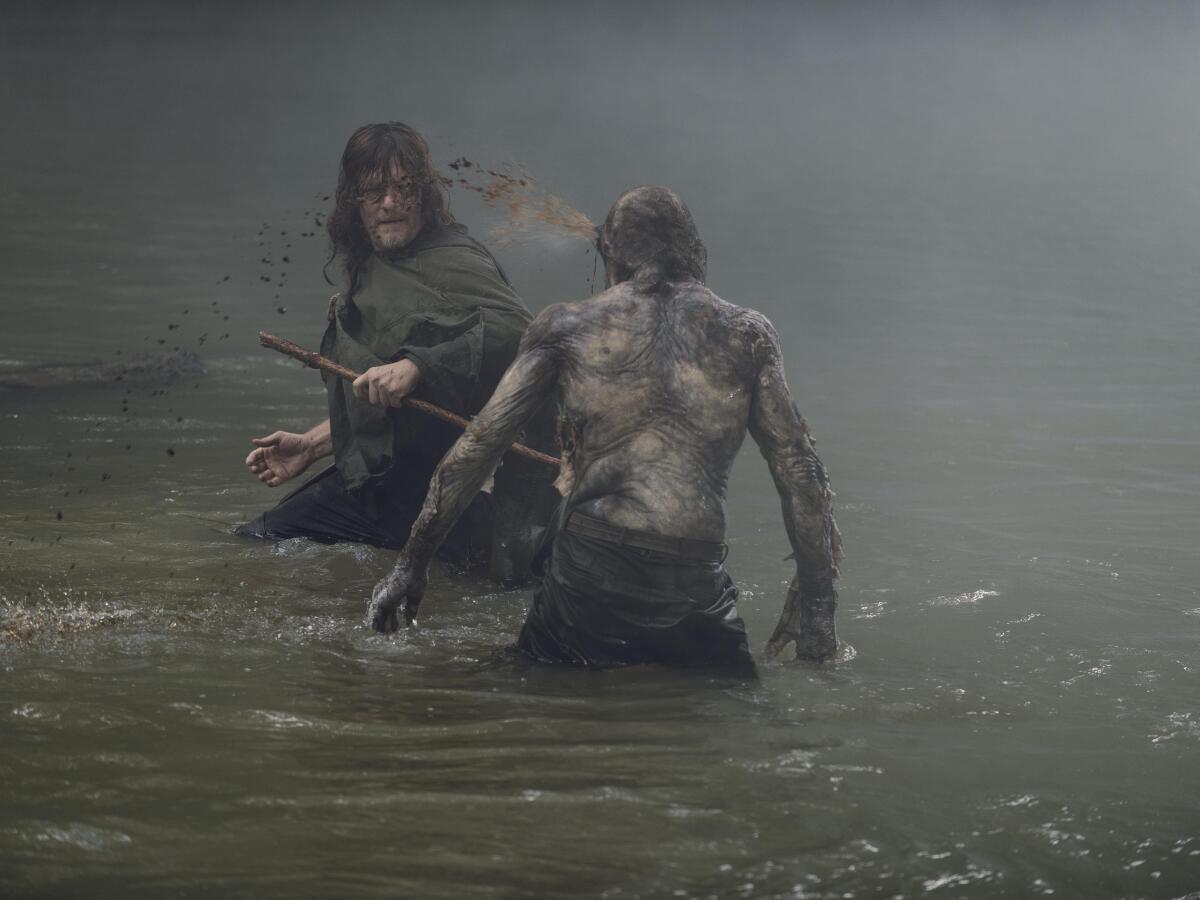 walking dead, zombie, zombík, zombíci, the walking dead, živí mŕtvi,