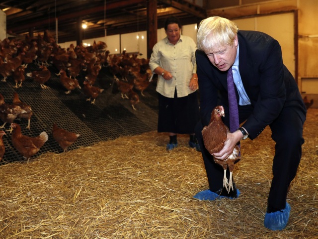 Británia / Boris Johnson /