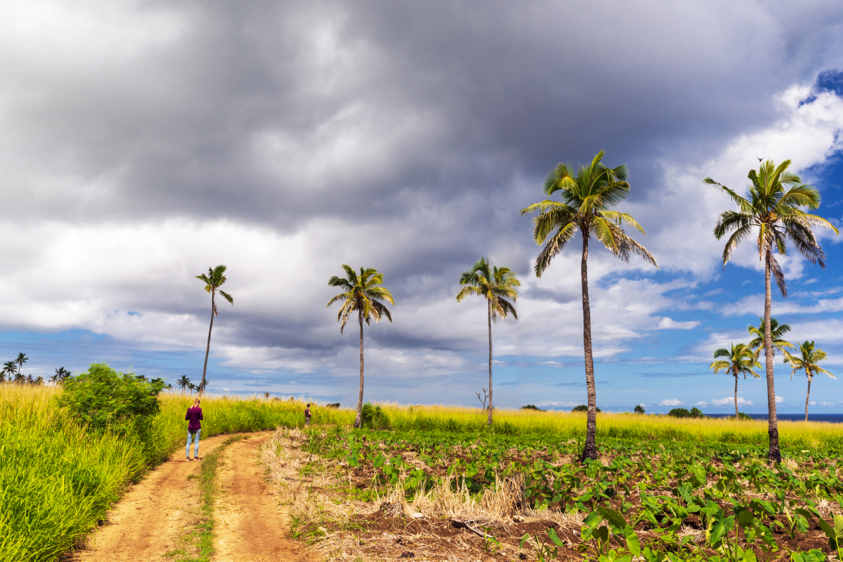 Tonga